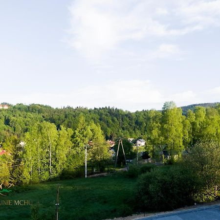 Apartamenty "Kwiaty Nocy" I "W Krainie Mchu" - Wisla Exterior photo