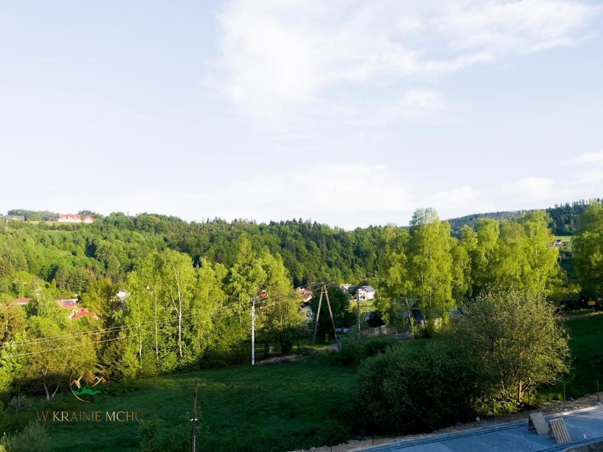 Apartamenty "Kwiaty Nocy" I "W Krainie Mchu" - Wisla Exterior photo